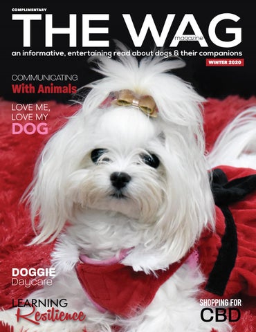 The WAG magazine Winter 2020 isssue